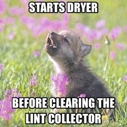 Baby insanity wolf