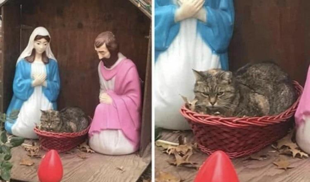 Baby Jesus seems to be a bit grumpy