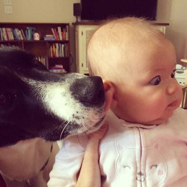 Babys First Wet Willy