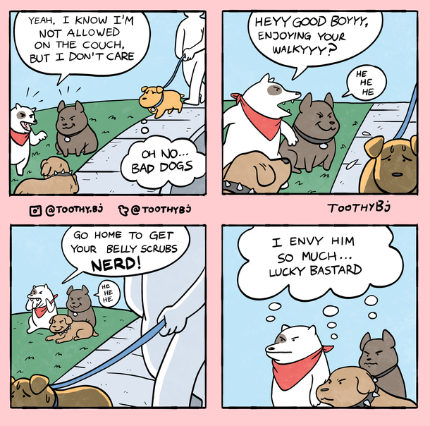 Bad bois 