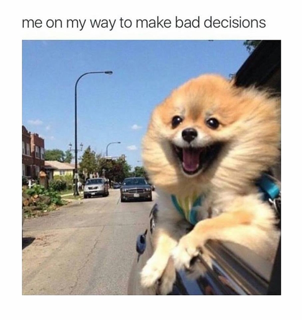 Bad Decisions