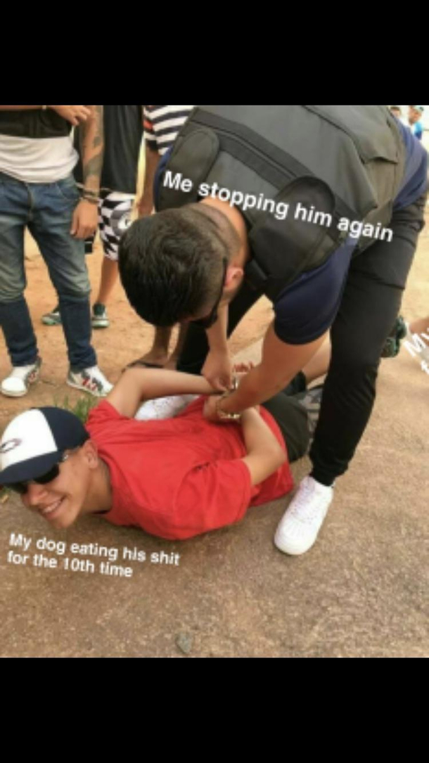 Bad dog