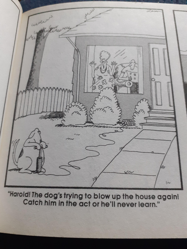 Bad dog