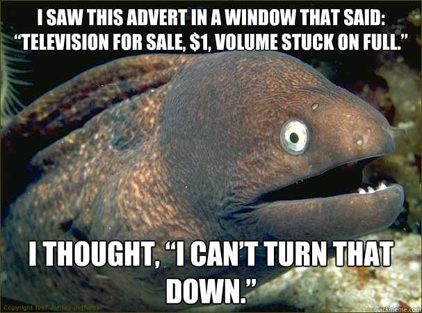 bad joke eel