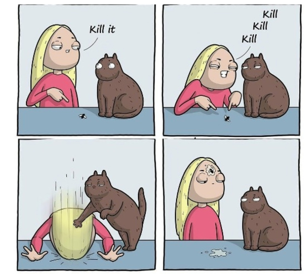 Bad Kitty