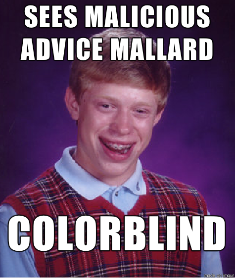 Bad Luck Brian uses advice he got on Reddit