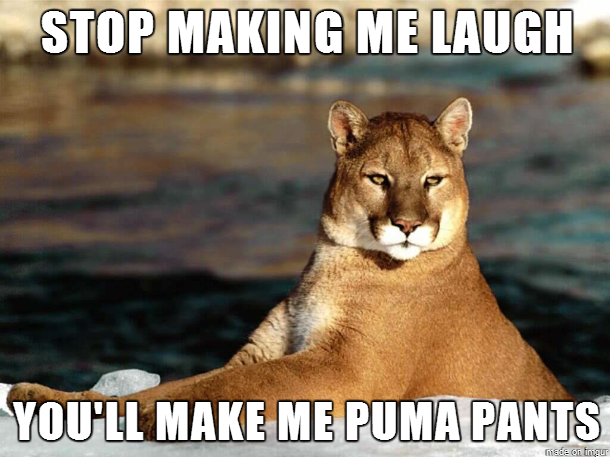 Bad Pun Puma