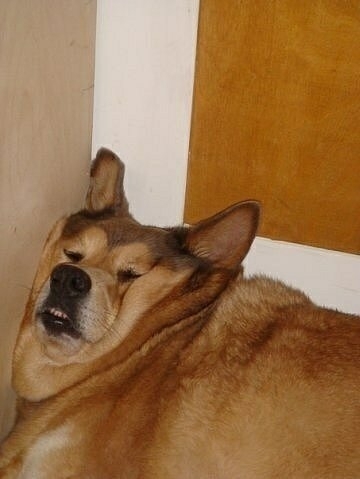 Bae caught me slippin