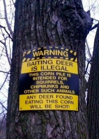 Baiting deer is illegal