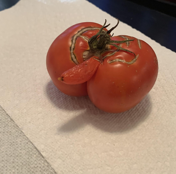 Ballsy Tomato