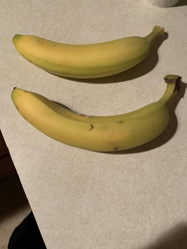 Banana banana for scale