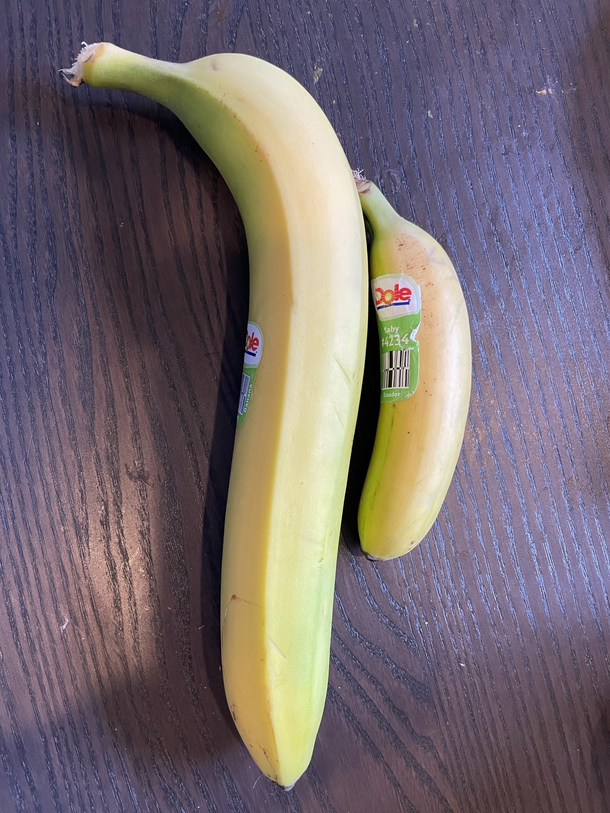 Banana Banana for scale
