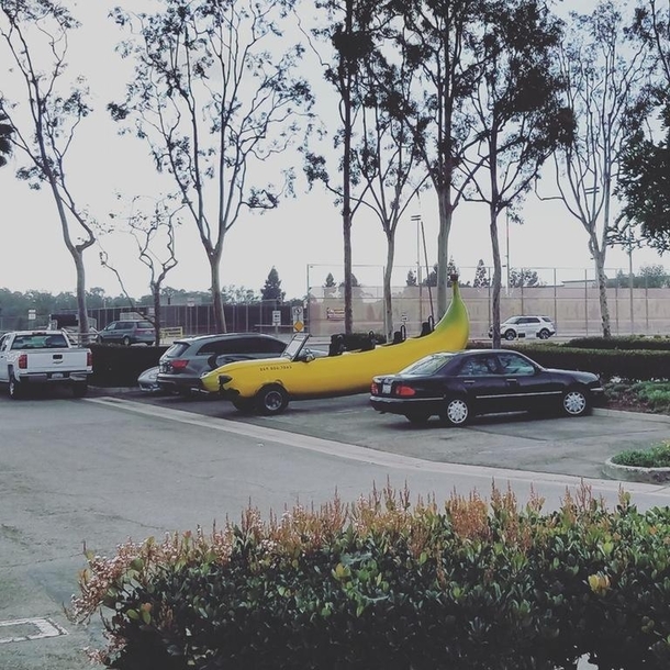 Banana for scale