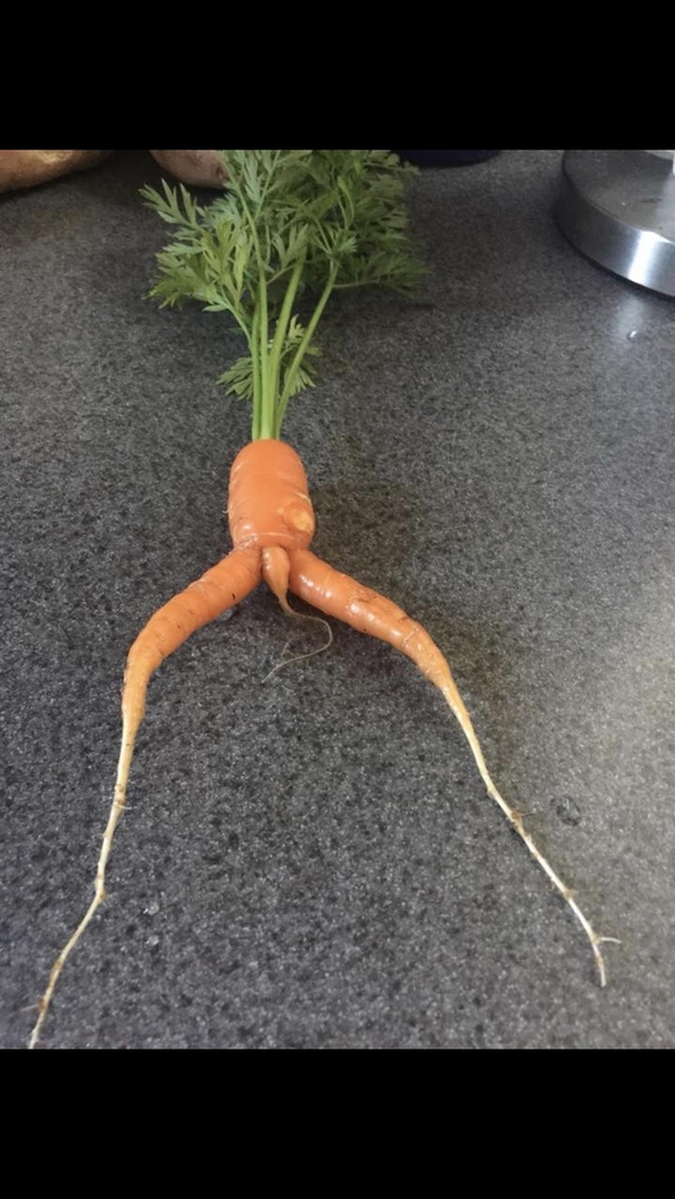 Banned from rfoodporn