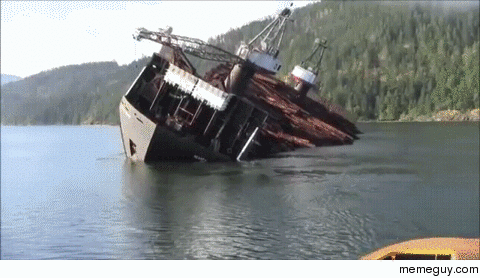 Barge unloading timber