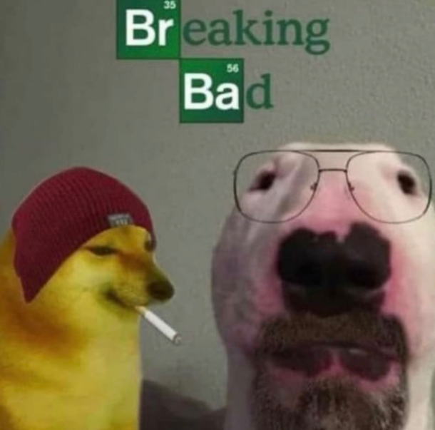 Barking bad
