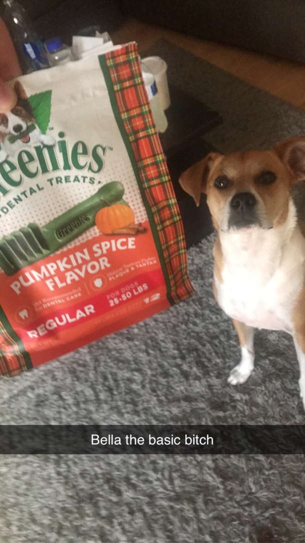 Basic Bitch Biscuits