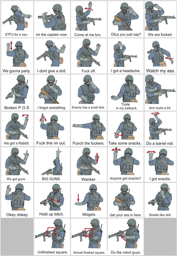 BASIC TACTICS HAND AND ARM SIGNALS