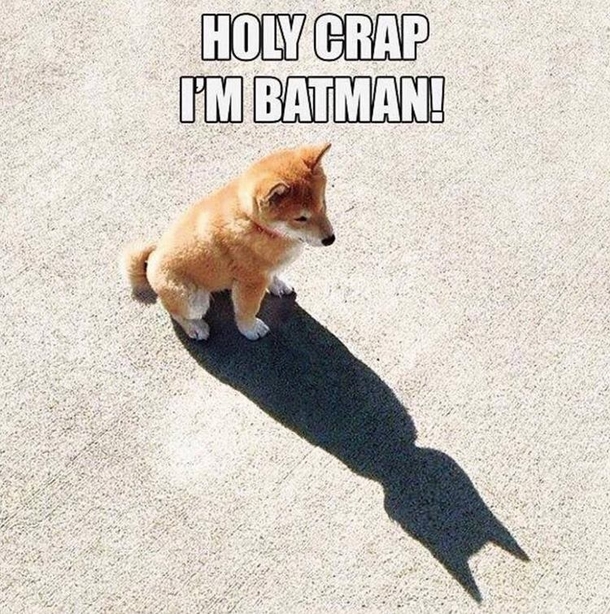 BAT MAN