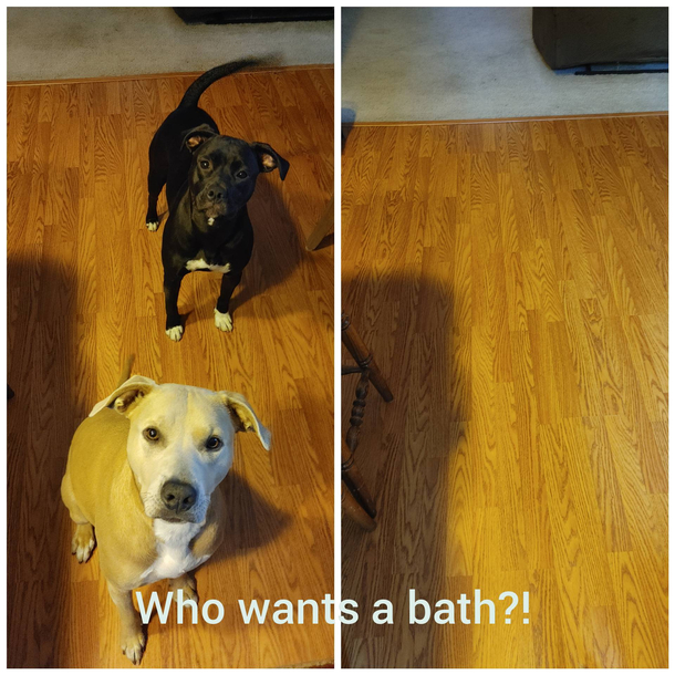 Bath time