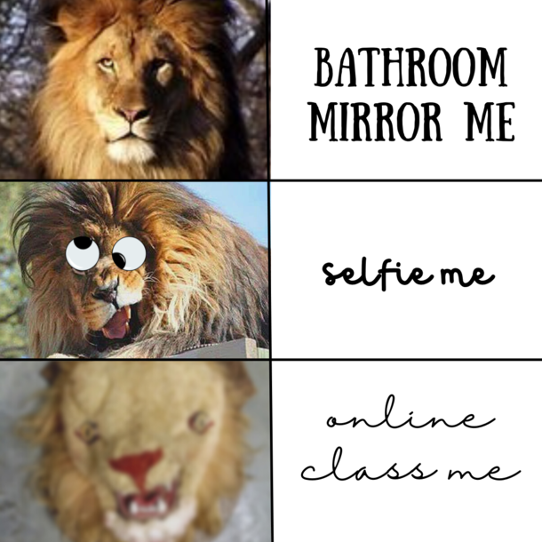 Bathroom Mirror LOML 