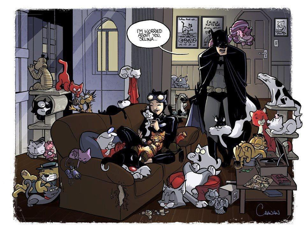 Batman is worried about this cat lady