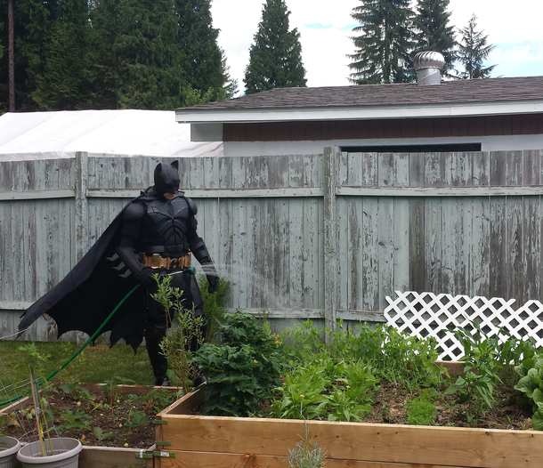 Batman The Moistening
