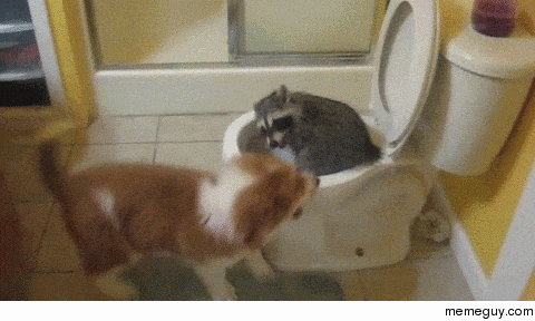 Battle for the throne