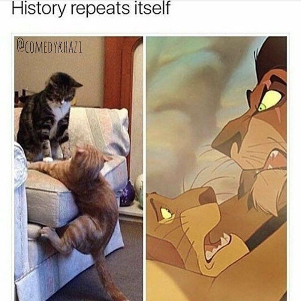 Be a little Simba-thetic