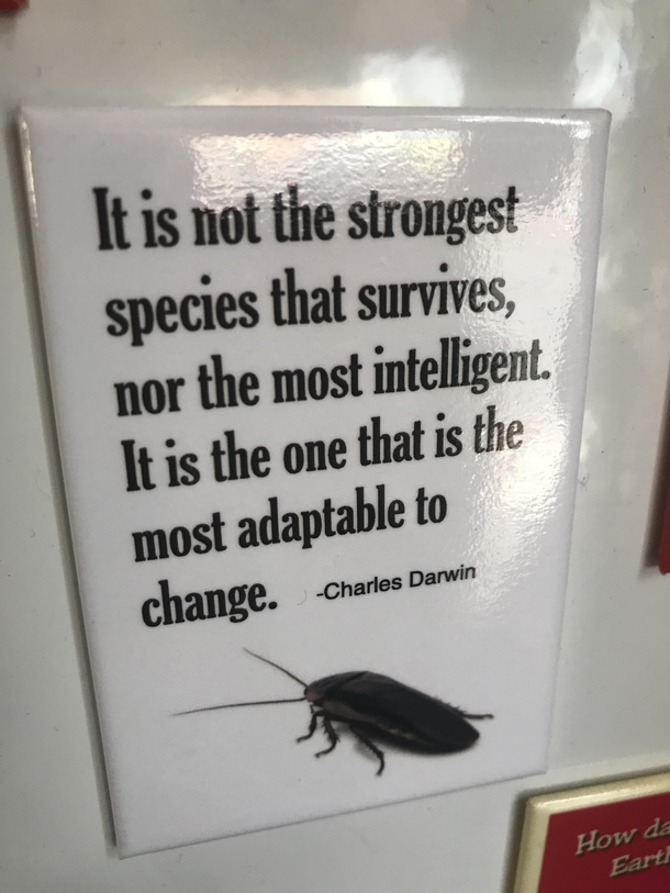 Be a roach