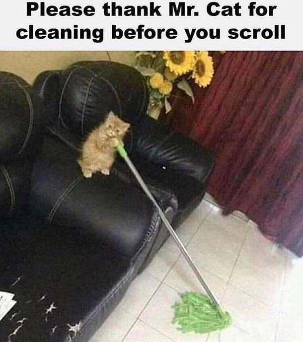Be Nice To The Cat Boi