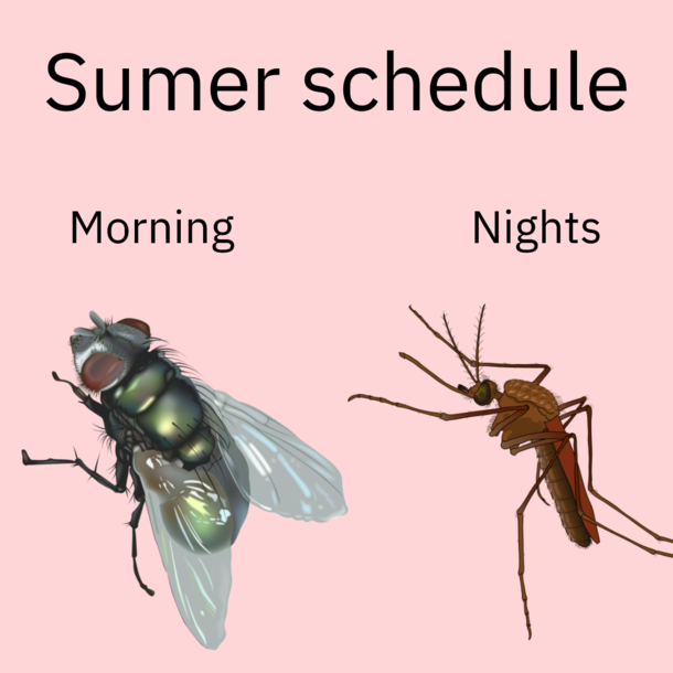 Be prepared comrade