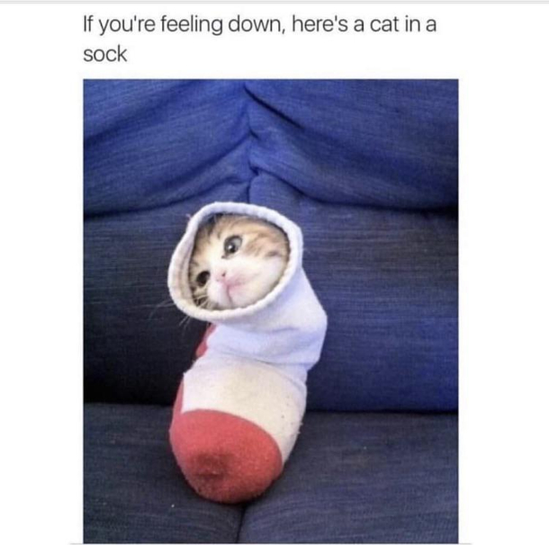 Be sad no longer
