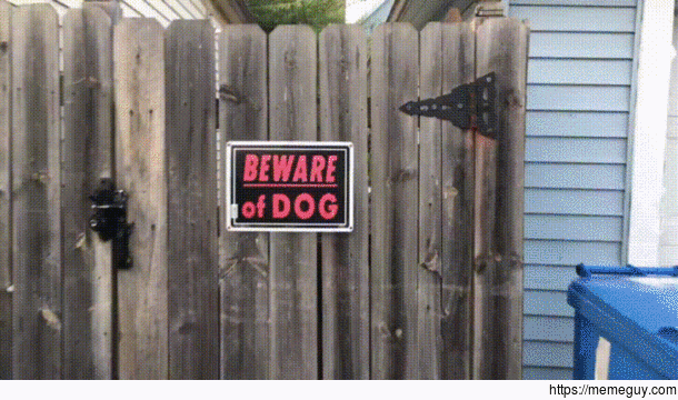 Be wary of dog