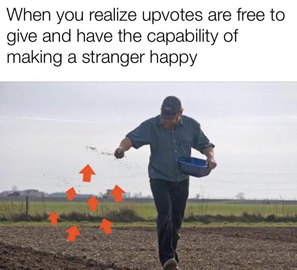 Be wholesome Its free