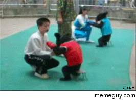 Bear cub boxing match