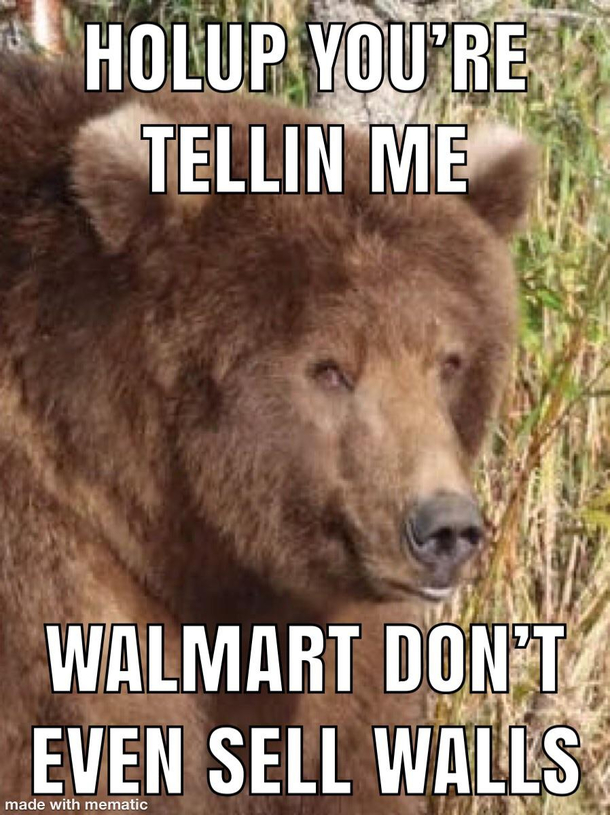 Bear dum