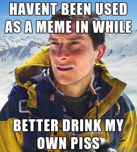 Bear pls