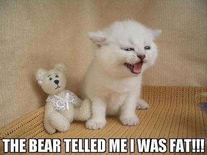 Bear That is most unlike you