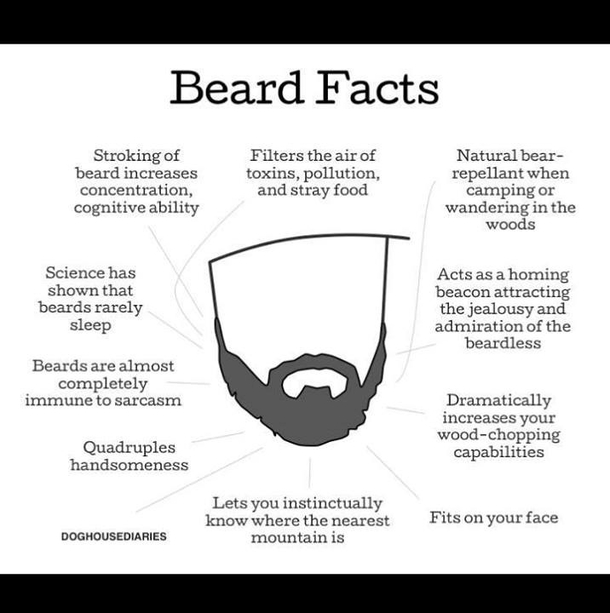 Beard Facts - Meme Guy