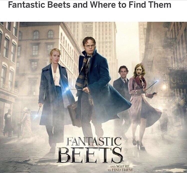 Bears Beets Battlestar Galactica