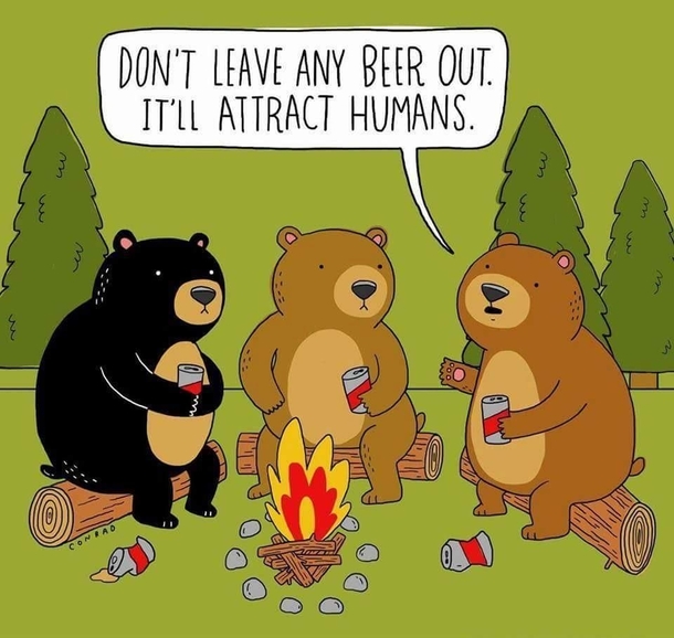 Bears know