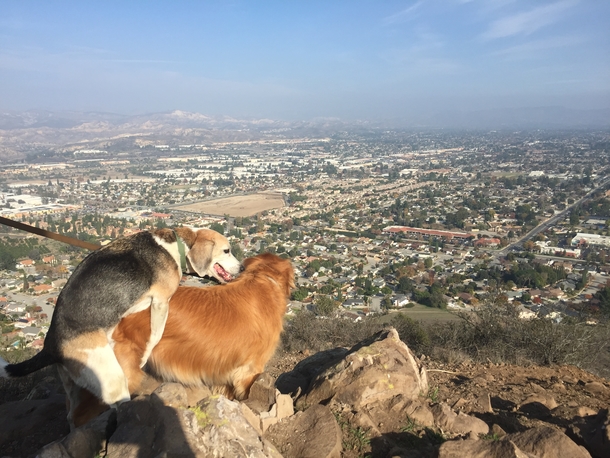 Beautiful City View