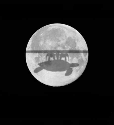 Beautiful Lunar eclipse from our flat earth