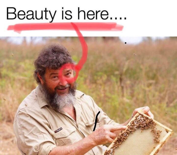 beauty is here