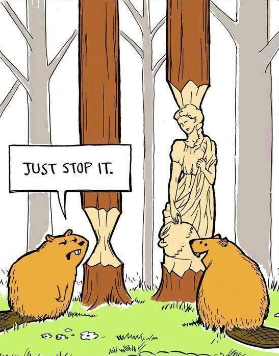 Beaver problems
