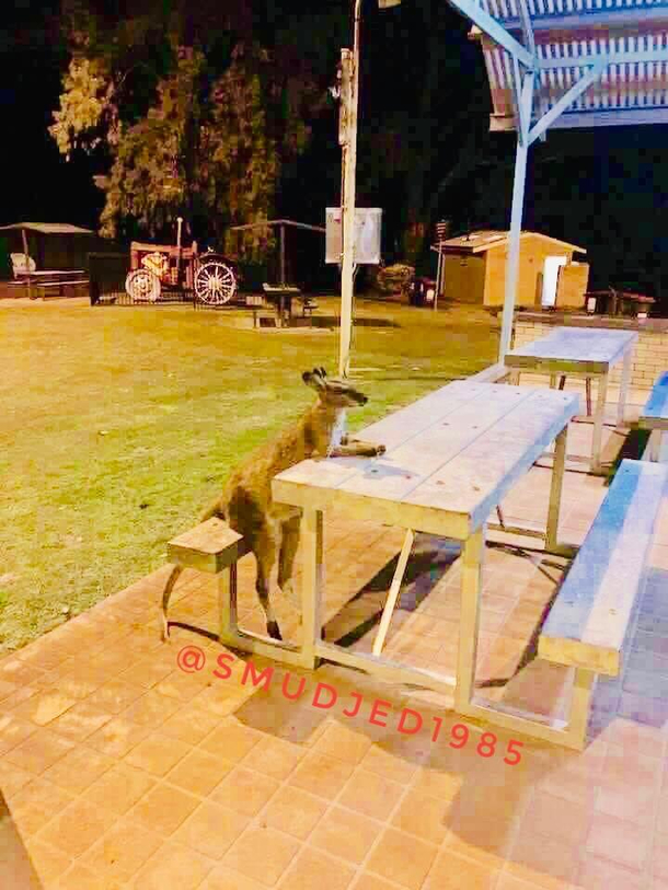 Because Australia