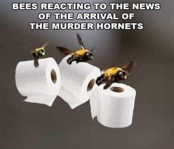 Because it makes sense
