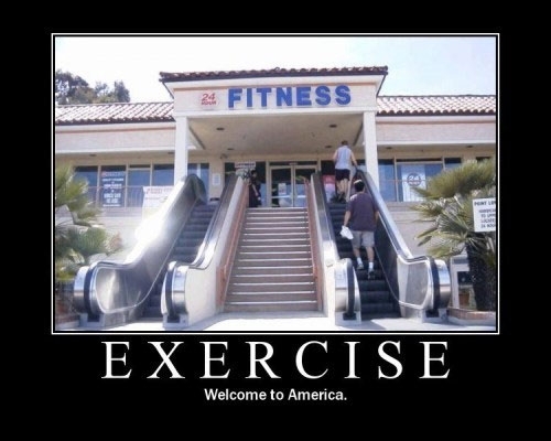 Because taking the stairs would be counterproductive to our ultimate goalmurika