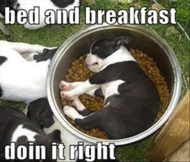 Bed and Breakfast